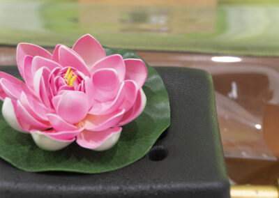 Photo from 2023 03 08 08 58 59 11111 1 scaled